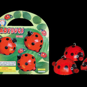Lady Bugs