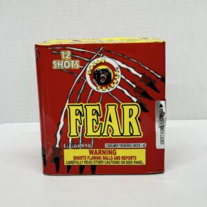 Fear