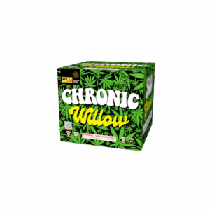CHRONIC WILLOW