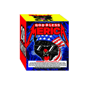 GOD BLESS MERICA